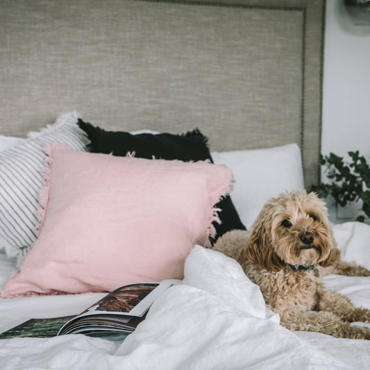 Blush Linen Cushion Cover